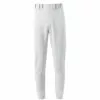 Mizuno Premier Players Men's Baseball Pants