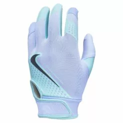 Nike Hyperdiamond 2.0 Youth Baseball Batting Gloves -Source for Sports Shop 376b136393345330ff69e4bee6e91728