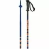 Salomon Kaloo Junior Ski Poles - Blue