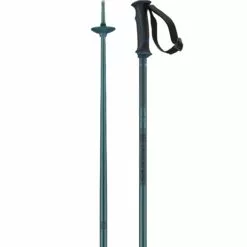 Salomon Arctic Unisex Ski Poles - Blue
